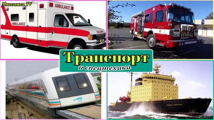 Транспорт и спецтехника, развивающий мультфильм, изучаем транспорт и звуки