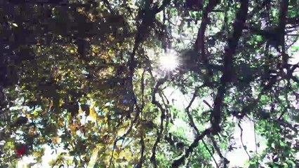 Video Institucional Hengxin