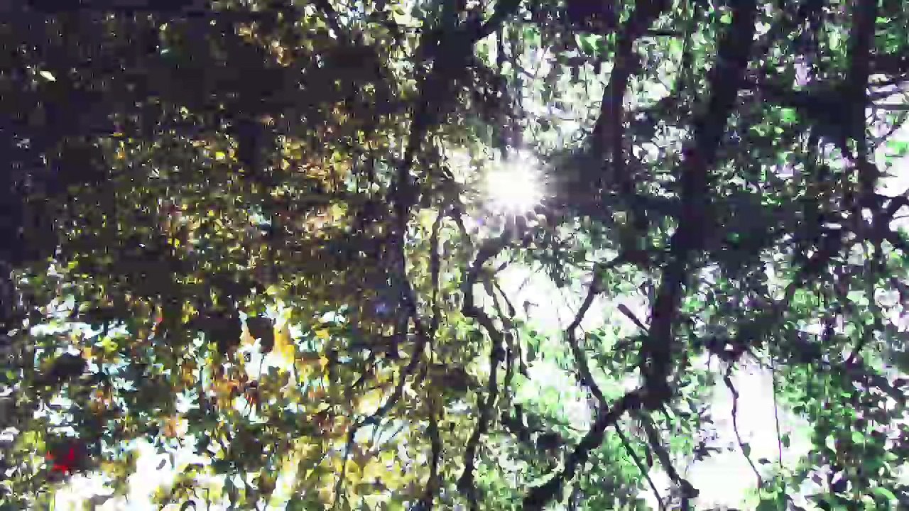 Video Institucional Hengxin