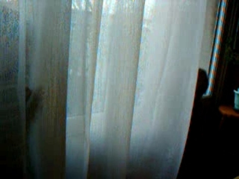 Video 023 - 21 avril 2006