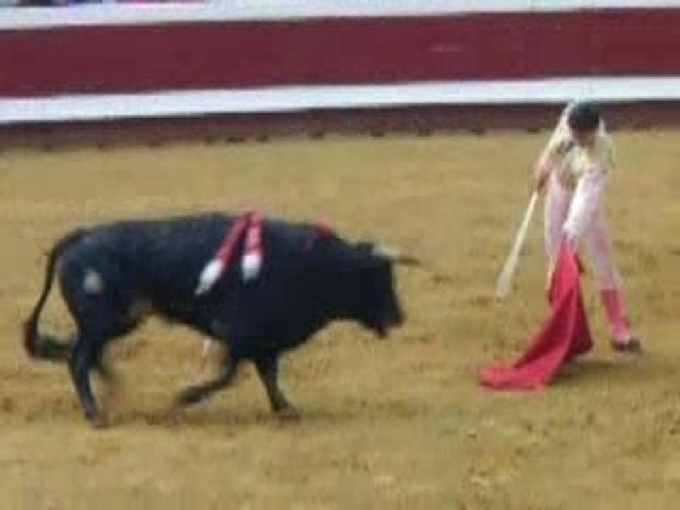 Feria dax