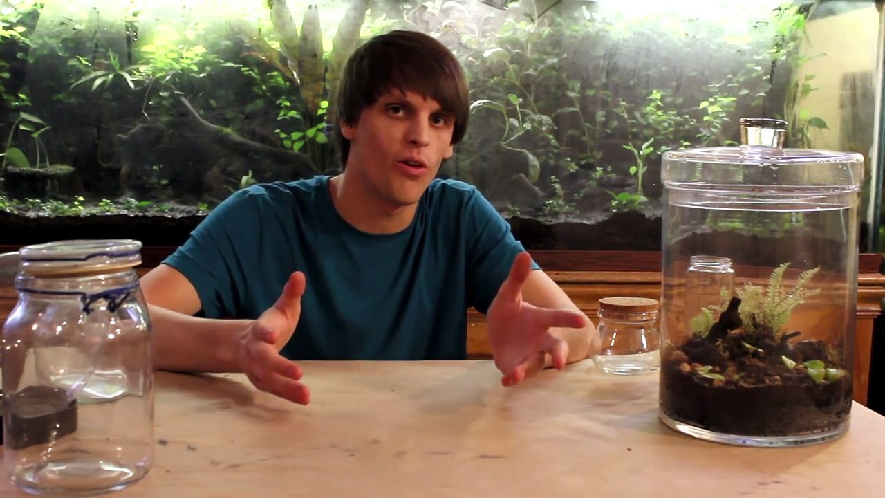 Make a Closed Tropical Terrarium - How To Terrarium ep.2