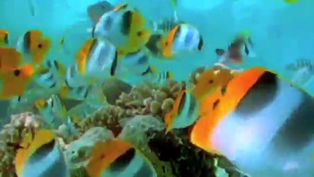 Radiating Love - Guided Imagery with Brad Yates