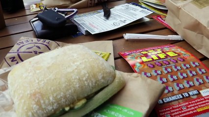 THESE VLOGS ARE RUINING YOUTUBE!! (david dobrik is evil)