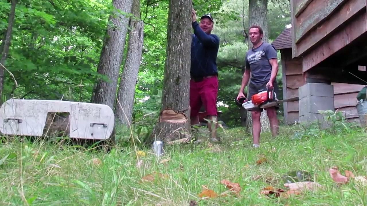 MS 251 C-BE STIHL Chainsaw Review - A powerful, fuel-efficient chainsaw thats comfortable