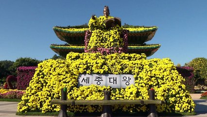 가을 남도는 축제 열기 속으로! / YTN