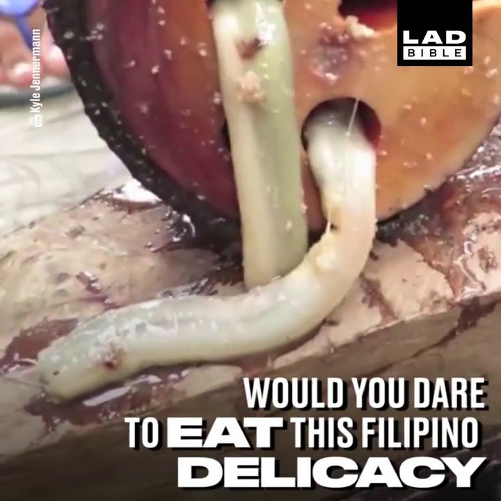 Etes-vous pret à goutter cette spécialité thaïlandaise dégoûtante... Vers de bois