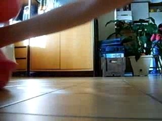 bataille de peluches