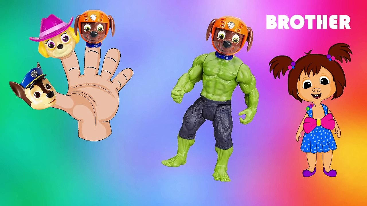 Paw Patrol Superheroes Finger Family Song | Batman, Hulk, Spiderman, Ironman, Superwoman, Superman
