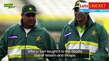 Pakistan's contributions to Cricket