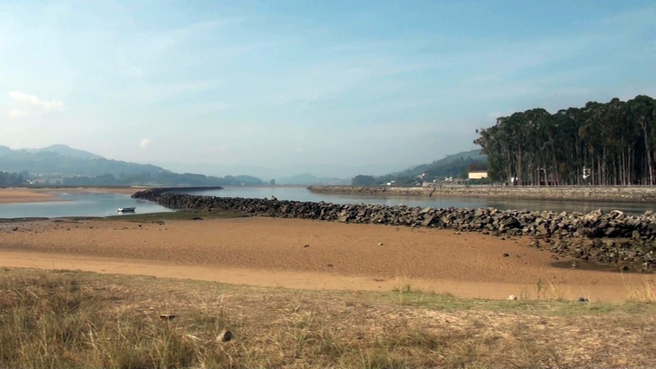 La Consejería de Desarrollo Rural de Asturias repuebla la ría de Villaviciosa con 65.000 almejas