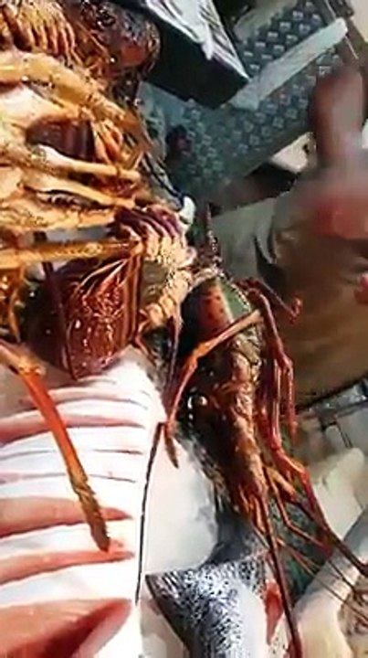 comment decortiquer une langouste