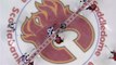 NHL - Minnesota Wild @ Calgary Flames - 21.10.2017