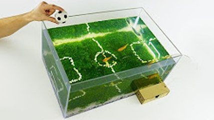 Cómo hacer un acuario único Copa Mundial de fútbol 2018 en el hogar