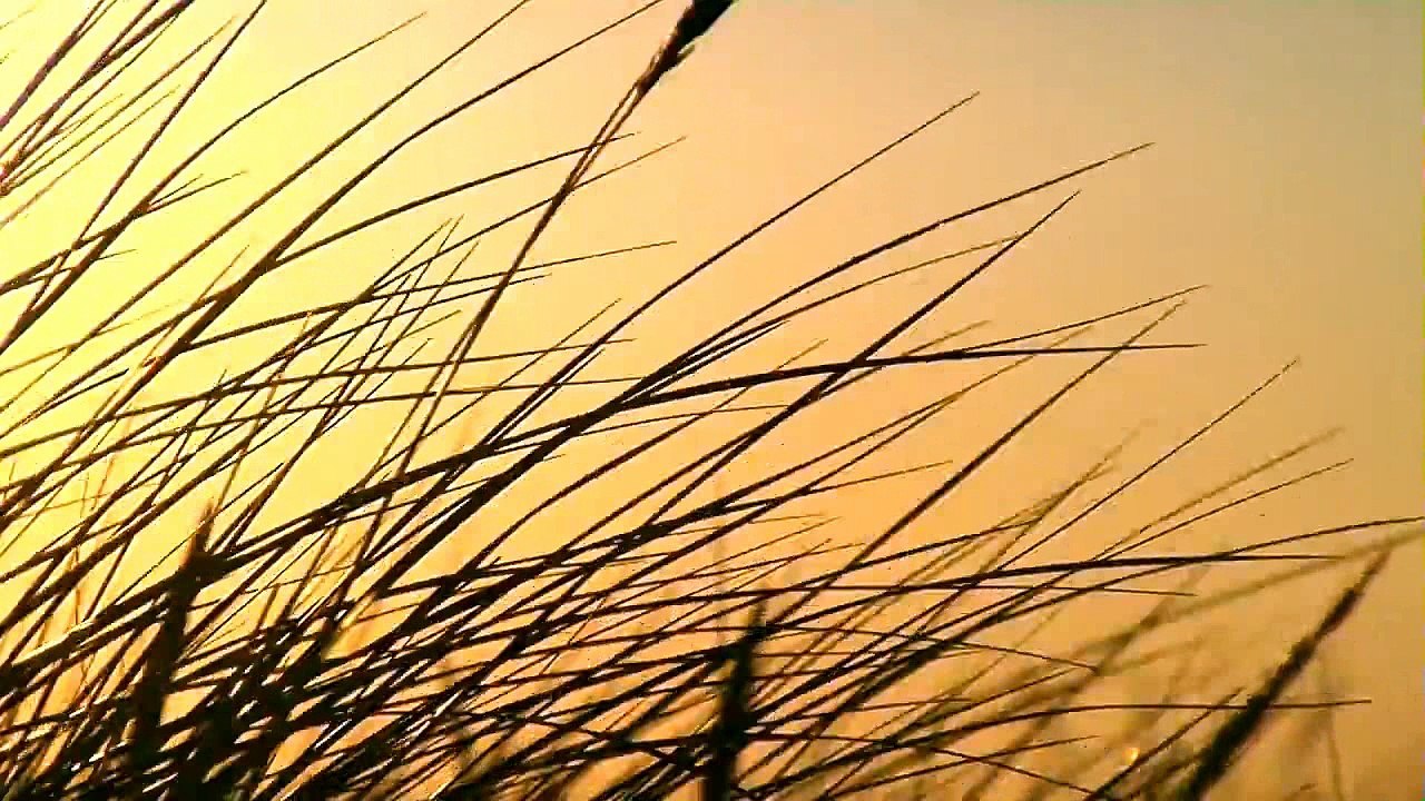 Clip de la chanson "When You Wish Upon a Star", interprétée par Agne Giedraityte - 2015