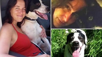 مفاااجأه.. صااادمه امرأه تزوجت كلب عاشرته وانجبت منه لا حول ولا قوة الا بالله..صدمت الاطباء