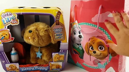 ¡Parece de verdad! Perrito Dormilón de Litlle Live Pets Bolsa de Juguetes Patrulla Canina