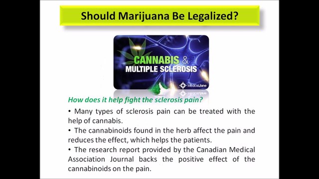 Learn why Should Marijuana Be Legalized