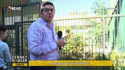 Mert Savaş'la Cennet Köşeler 22 Ekim 2017