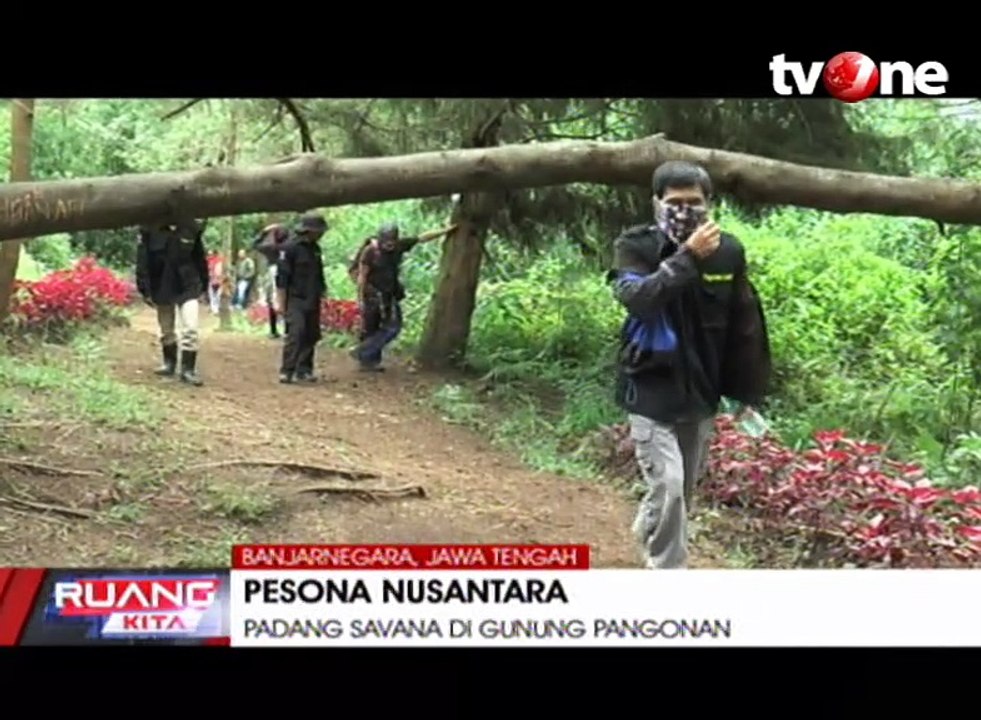 Hijaunya Savana di Gunung Pangonan