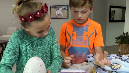 WHAT HAPPENS TO OUR HATCHIMAL? | We Are The Davises