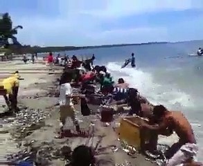 ♣♣♣SUICIDIOS DE MILHARES DE PEIXES,POR QUE♣♣♣