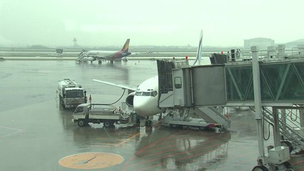 강풍으로 가로수 넘어지고 하늘·바닷길 막혀 / YTN