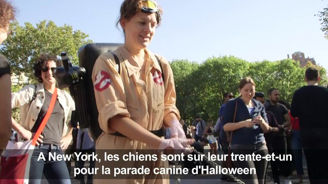 NY: Les chiens se font beaux pour la parade canine d'Halloween