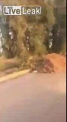 Destroyed tank Iraqi army M1A1 "Abrams"