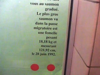 Matane-Passe à poissons (1)