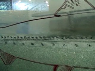 Matane-Passe à poissons (2)