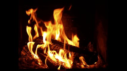 Ms. Larisa - Bensonhurst Blues