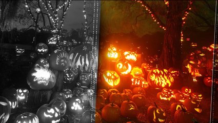 The Story Behind These Halloween Symbols