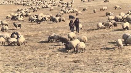 Göçerler Dönüş Yolunda