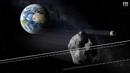 New Study Reveals Life Origins in Earth