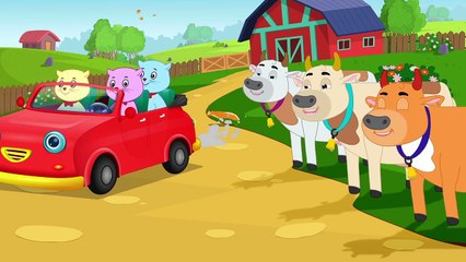 Farm Carr |Surfersweetie | Video Adorable Kid