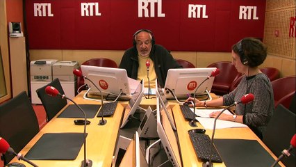 Le journal de 18 h : 80 % des insectes volants ont disparu en Europe