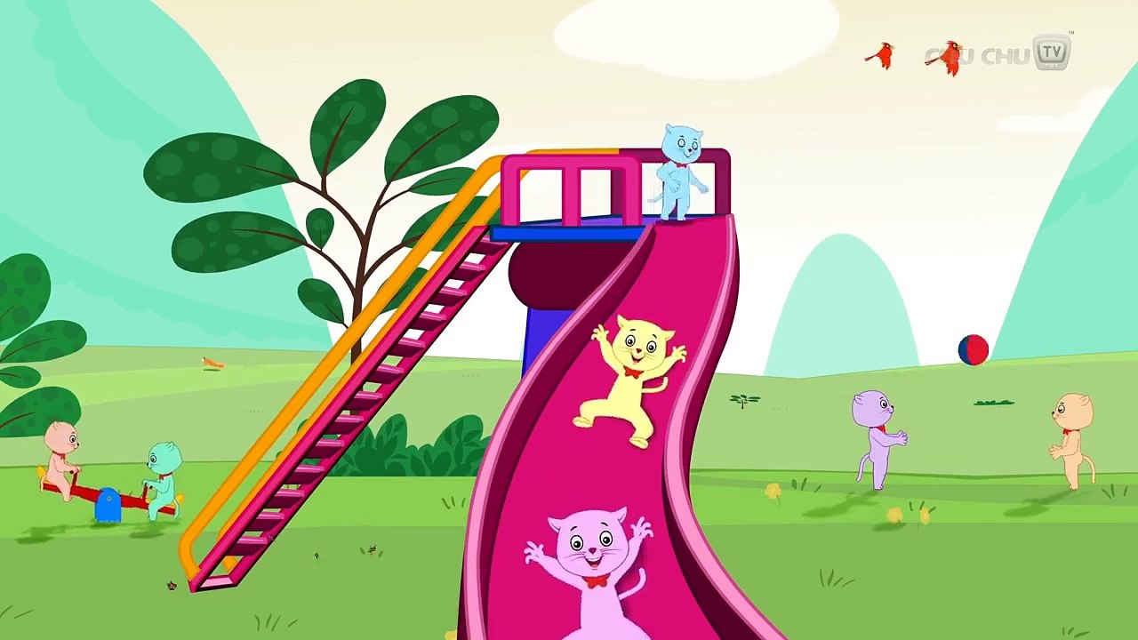 Slide Cat| Bugcolumbia | Clip For Kid