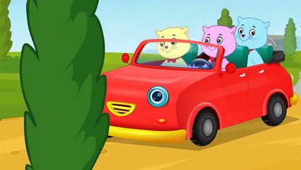 Three Color Cat Car Col | Flushedthelon | Happy For Kid