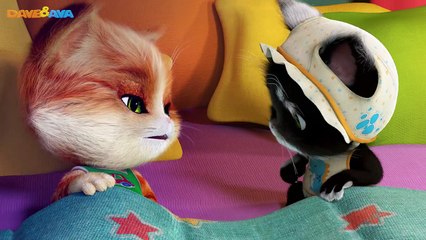 Cat Sleep | Flushedthelon | Happy For Kid