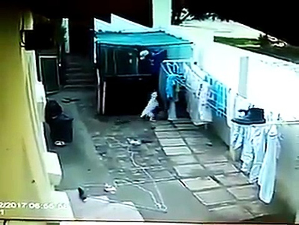 SUBJECT ENTERS TO STEAL AND IS ATTACKED BY PITBULL DOGS (SUJETO ENTRA A ROBAR Y ES ATACADO POR PERROS PITBULL)