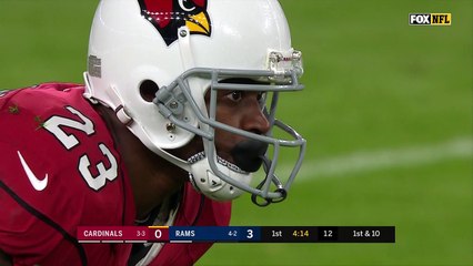Adrian Peterson charges down the sideline for 12-yard gain