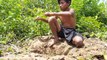 Wow! Amazing Smart Little Boy Catch Big Snakes Using Deep Hole Trap (Part 3)