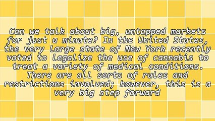 Pot In NY: Every Product Manager's Dream