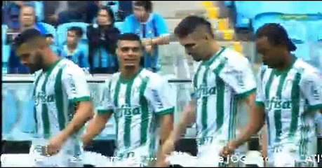 Dudu Goal HD - Gremio	0-1	Palmeiras 22.10.2017