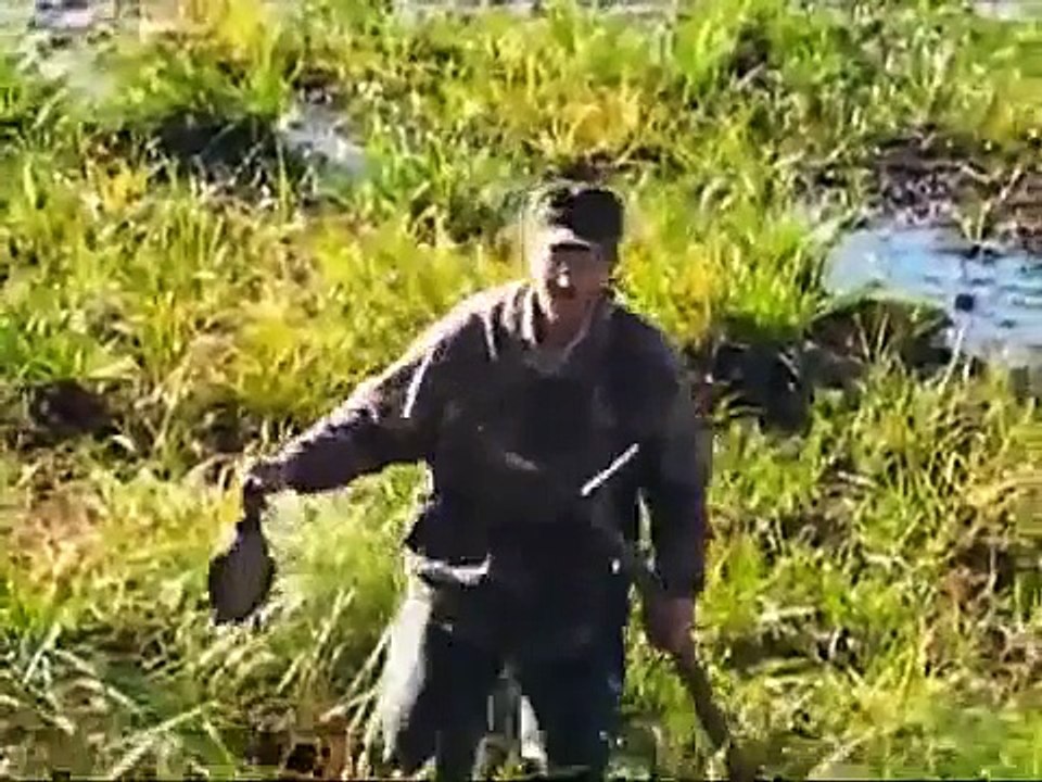 ОХОТА ПУЩЕ НЕВОЛИ