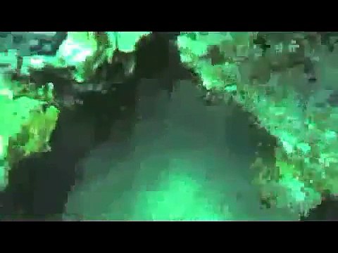 Подводная охота