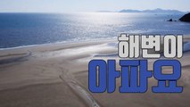 [자막뉴스] 천연기념물 해변이 아파요 / YTN