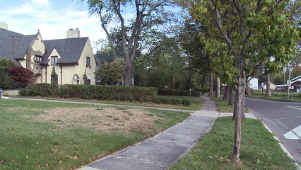Neighbors Rescue Toddler Wandering Near Busy Street Alone