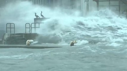 Übershwemmungen, Erdrutsche, Schnee: Taifun "Lan" fegt über Japan